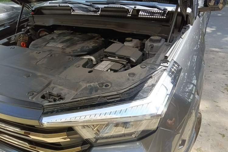 Used Tank 400 New Energy 2024 Hi4-T Off-Road Edition Engine Bay Left