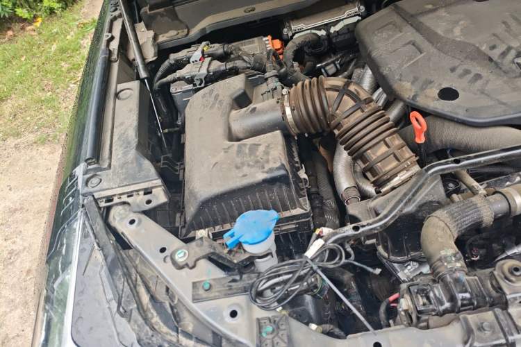 Used Tank 400 New Energy 2024 Hi4-T Off-Road Edition Engine Bay Right