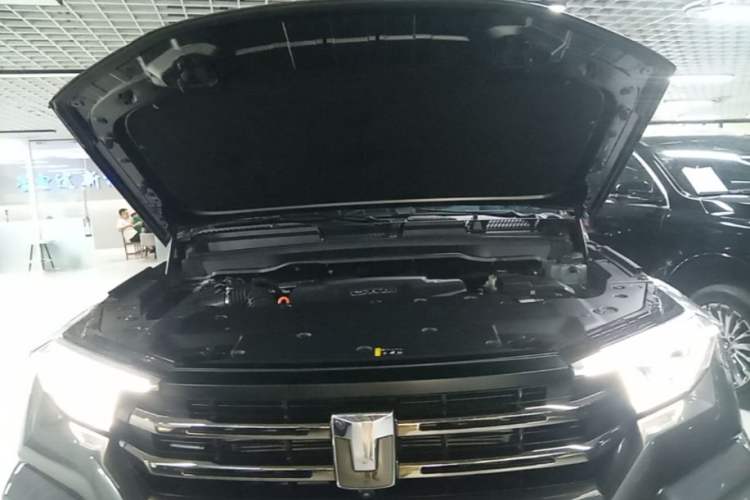 Used Tank 400 New Energy 2024 Hi4-T City Edition Engine Bay