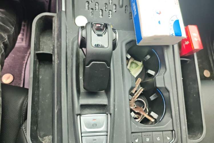 Used Tank 400 New Energy 2024 Hi4-T Off-Road Edition Gear Lever