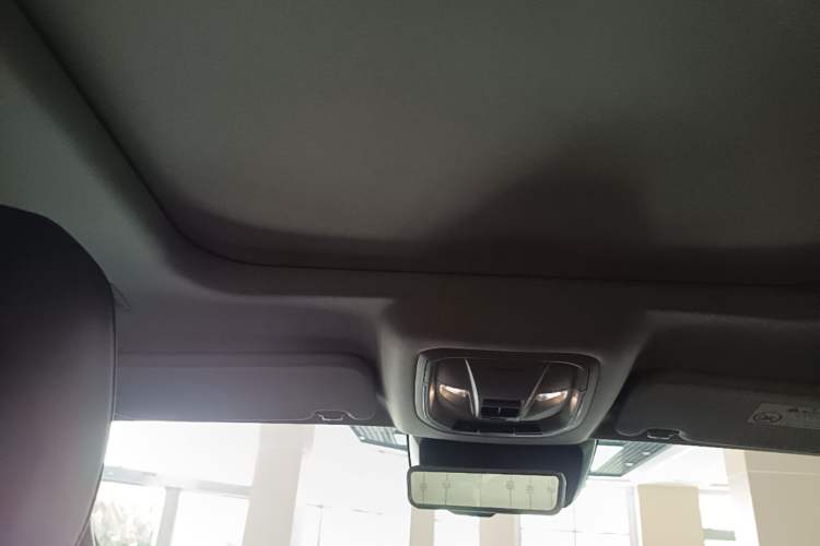 Used Tank 400 New Energy 2024 Hi4-T City Edition Headliner