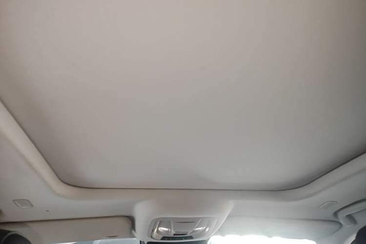 Used Tank 400 New Energy 2024 Hi4-T Off-Road Edition Headliner