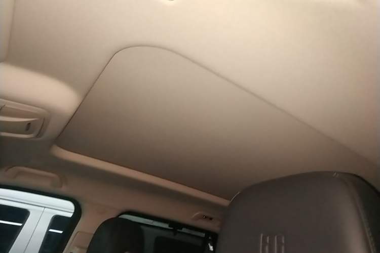 Used Tank 400 New Energy 2024 Hi4-T Off-Road Edition Headliner
