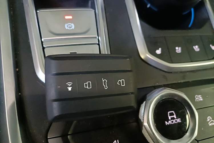 Used Tank 400 New Energy 2024 Hi4-T Off-Road Edition Interior 1