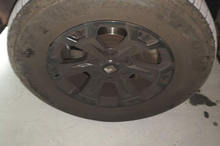 Used Tank 400 New Energy 2024 Hi4-T City Edition Left Front Wheel Hub