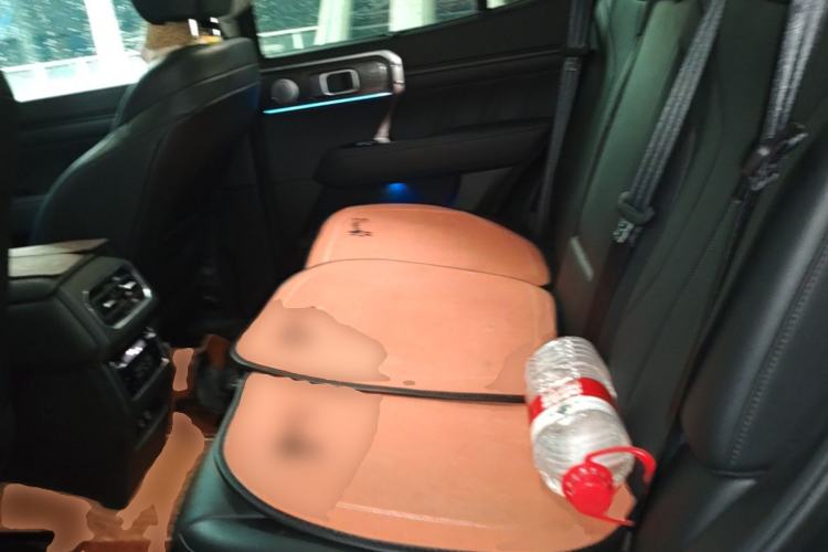 Used Tank 400 New Energy 2024 Hi4-T City Edition Left Rear Seat