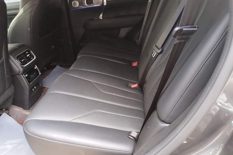 Used Tank 400 New Energy 2024 Hi4-T City Edition Left Rear Seat