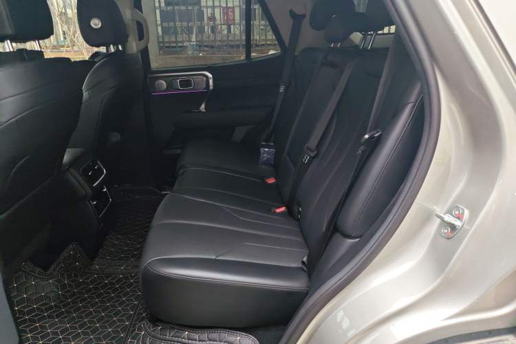 Used Tank 400 New Energy 2024 Hi4-T City Edition Left Rear Seat