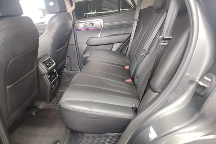 Used Tank 400 New Energy 2024 Hi4-T City Edition Left Rear Seat