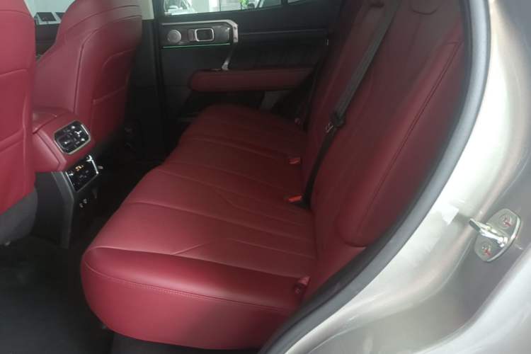 Used Tank 400 New Energy 2024 Hi4-T City Edition Left Rear Seat
