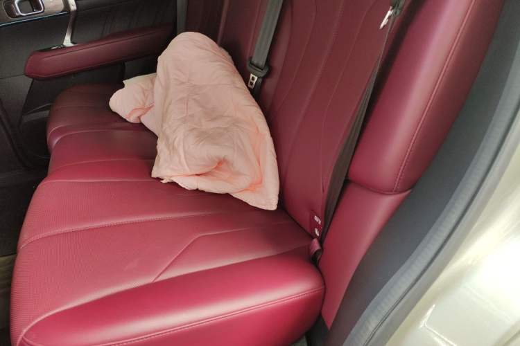 Used Tank 400 New Energy 2024 Hi4-T City Edition Left Rear Seat