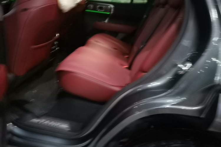 Used Tank 400 New Energy 2024 Hi4-T Off-Road Edition Left Rear Seat