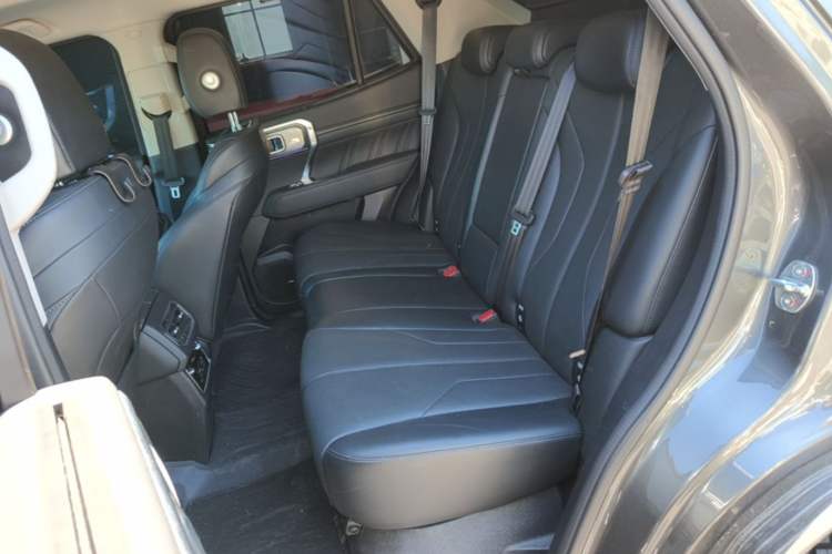 Used Tank 400 New Energy 2024 Hi4-T Off-Road Edition Left Rear Seat