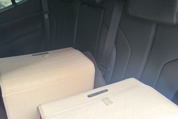 Used Tank 400 New Energy 2024 Hi4-T City Edition Left Rear Seat