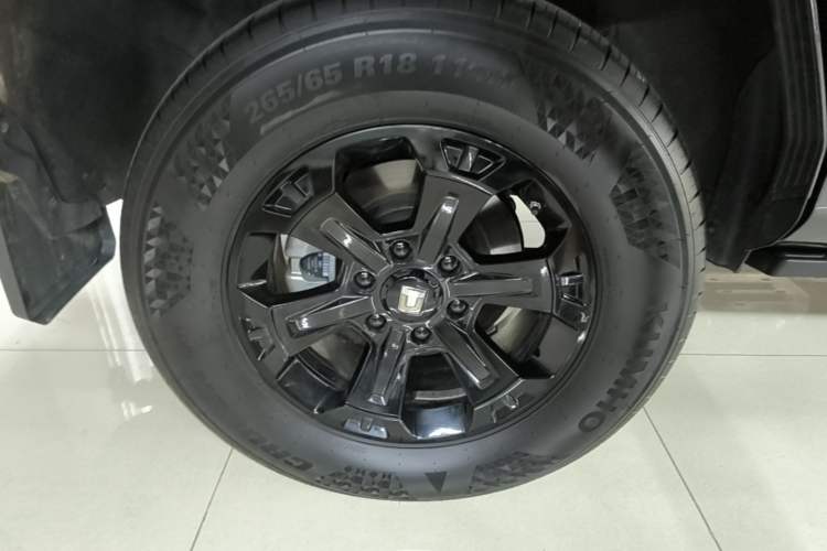Used Tank 400 New Energy 2024 Hi4-T Off-Road Edition Right Rear Wheel Hub