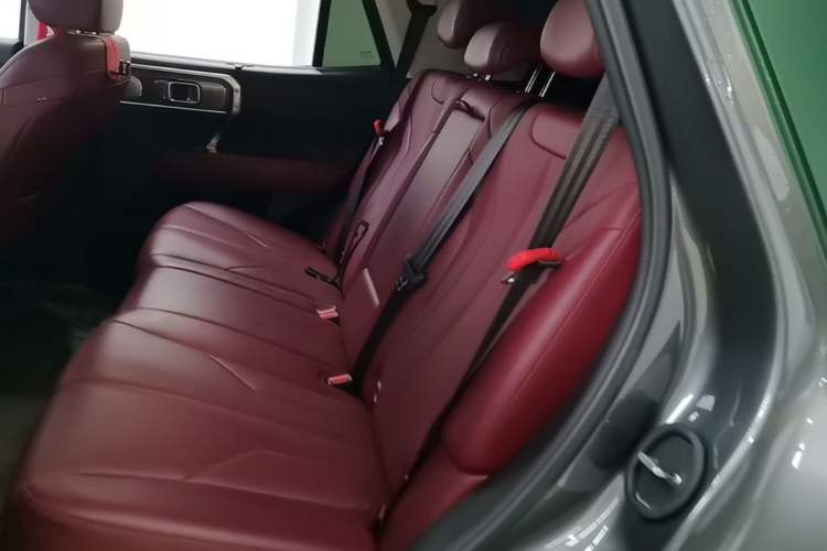 Used Tank 400 New Energy 2024 Hi4-T City Edition Left Rear Seat