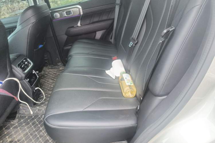 Used Tank 400 New Energy 2024 Hi4-T Off-Road Edition Left Rear Seat