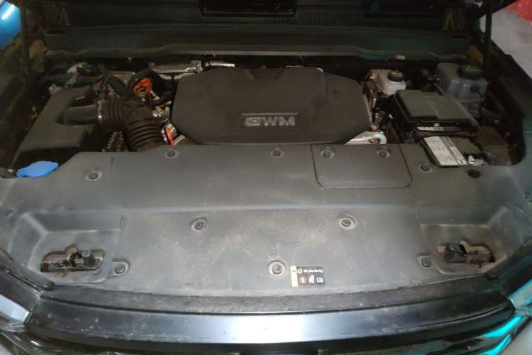 Used Tank 400 New Energy 2024 Hi4-T Off-Road Edition Engine Bay