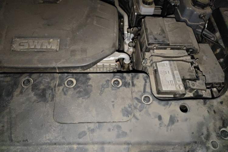 Used Tank 400 New Energy 2024 Hi4-T Off-Road Edition Engine Bay Left