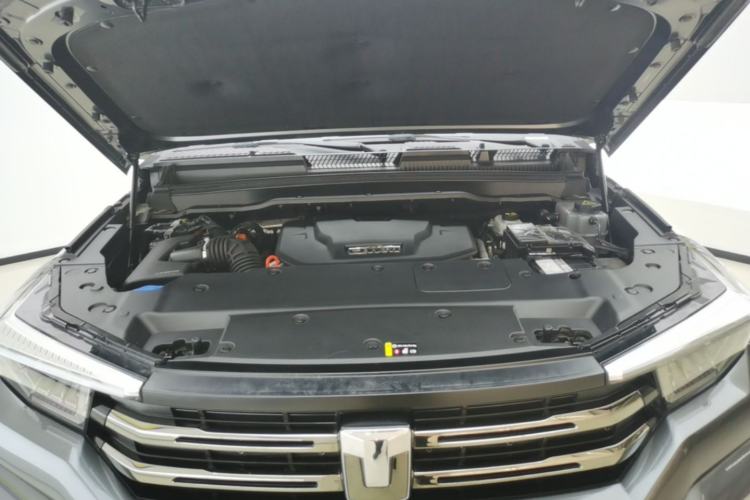 Used Tank 400 New Energy 2024 Hi4-T City Edition Engine Bay