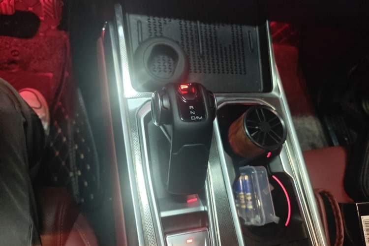 Used Tank 400 New Energy 2024 Hi4-T City Edition Gear Lever