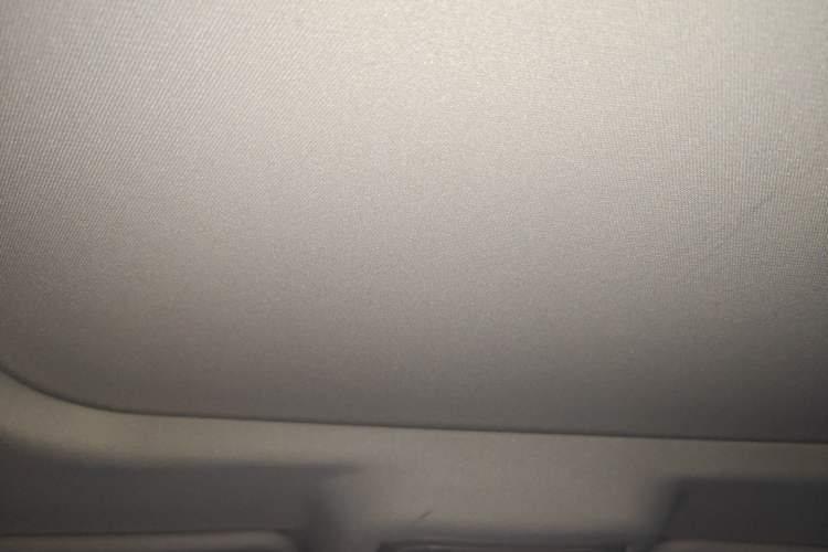 Used Tank 400 New Energy 2024 Hi4-T City Edition Headliner