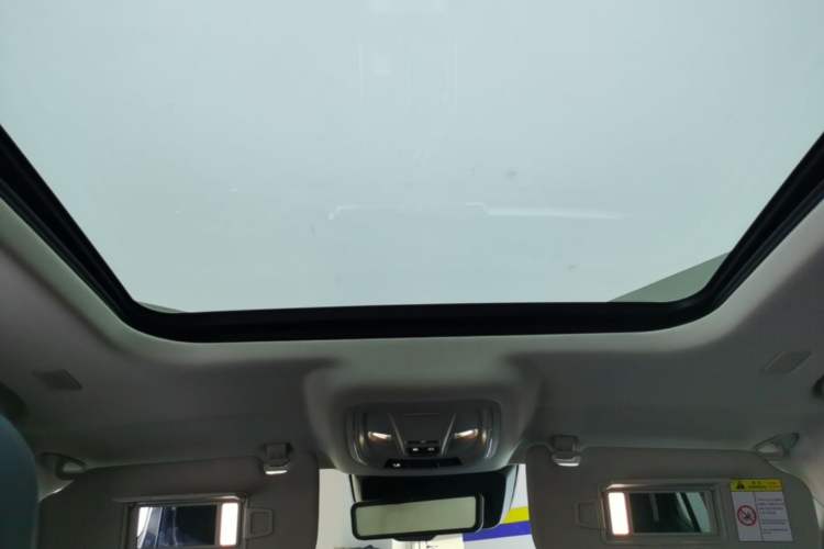 Used Tank 400 New Energy 2024 Hi4-T City Edition Headliner