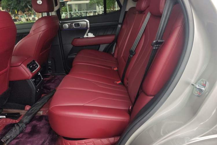 Used Tank 400 New Energy 2024 Hi4-T City Edition Left Rear Seat
