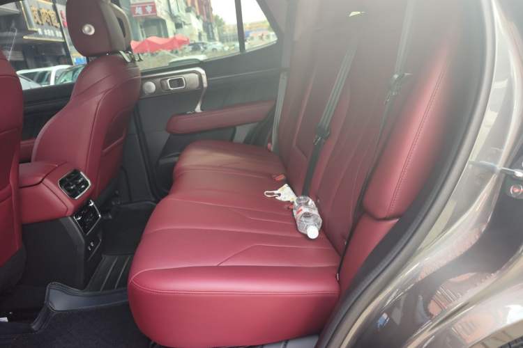 Used Tank 400 New Energy 2024 Hi4-T Off-Road Edition Left Rear Seat