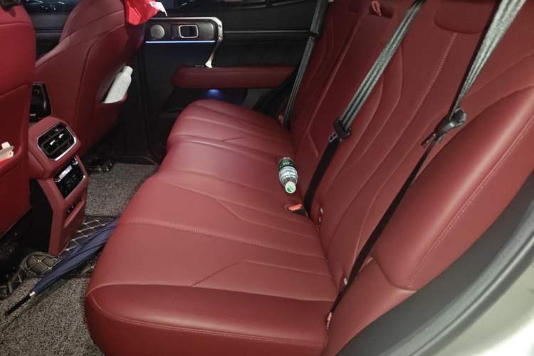 Used Tank 400 New Energy 2024 Hi4-T City Edition Left Rear Seat