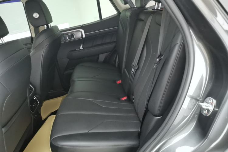 Used Tank 400 New Energy 2024 Hi4-T City Edition Left Rear Seat
