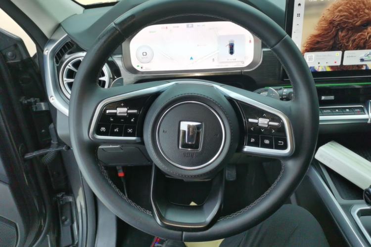 Used Tank 400 New Energy 2024 Hi4-T City Edition Steering Wheel