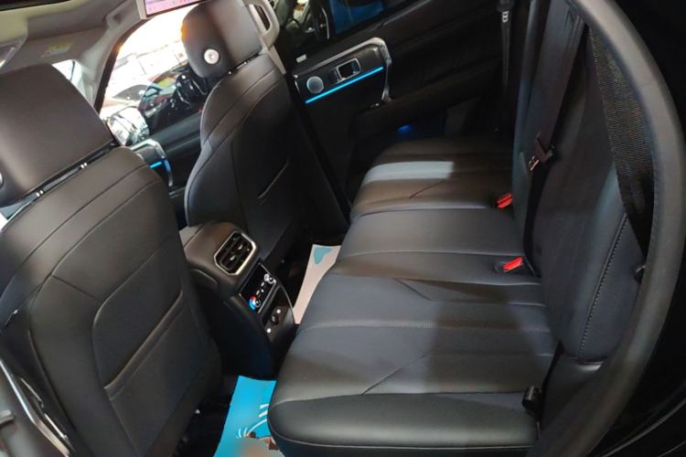 Used Tank 400 New Energy 2026 Model—Hi4-T Smart Enjoyment Version Left Rear Seat