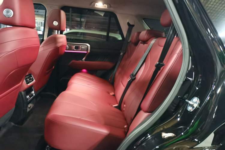 Used Tank 400 New Energy 2026 Model—Hi4-T Smart Enjoyment Version Left Rear Seat