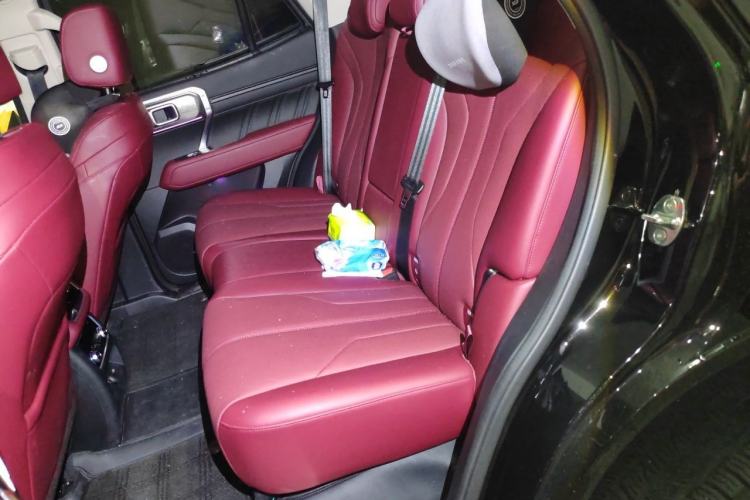 Used Tank 400 New Energy 2026 Model—Hi4-Z Smart Enjoyment Version Left Rear Seat