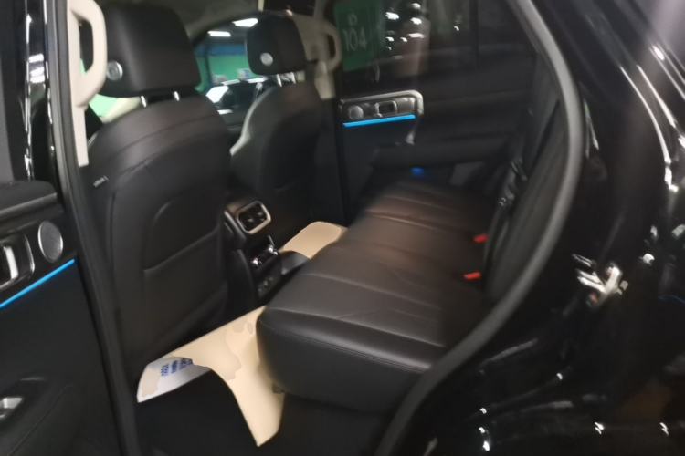 Used Tank 400 New Energy 2026 Model—Hi4-T Smart Enjoyment Version Left Rear Seat