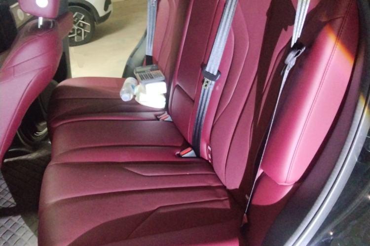 Used Tank 400 New Energy 2026 Model—Hi4-T Smart Enjoyment Version Left Rear Seat