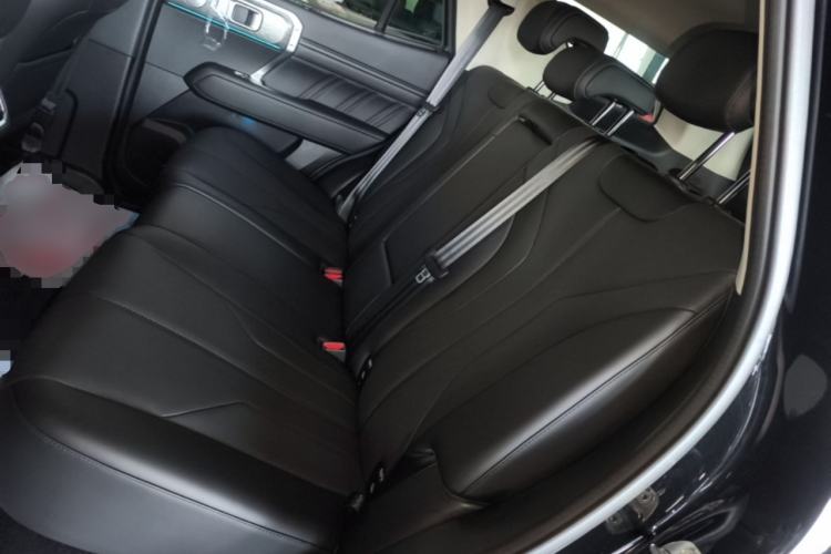 Used Tank 400 New Energy 2026 Model—Hi4-T Smart Enjoyment Version Left Rear Seat