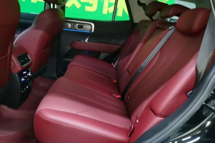 Used Tank 400 New Energy 2026 Model—Hi4-T Smart Enjoyment Version Left Rear Seat