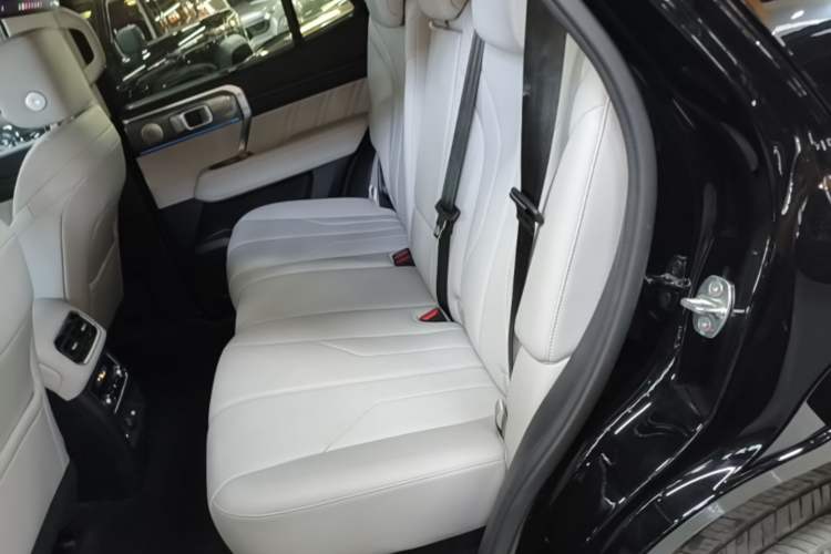 Used Tank 400 New Energy 2026 Model—Hi4-Z Smart Enjoyment Version Left Rear Seat