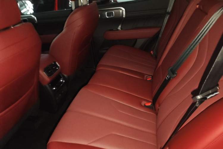 Used Tank 400 New Energy 2026 Model—Hi4-T Left Rear Seat