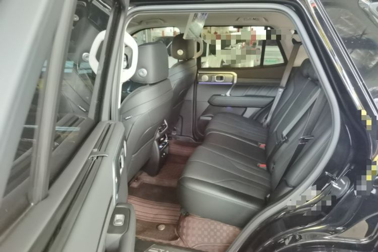 Used Tank 400 New Energy 2026 Model—Hi4-Z Smart Enjoyment Version Left Rear Seat
