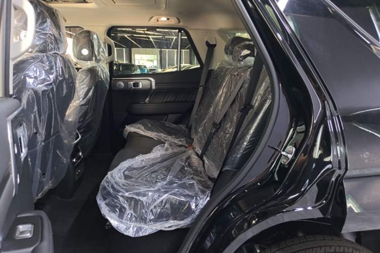 Used Tank 400 New Energy 2026 Model—Hi4-T Smart Enjoyment Version Left Rear Seat