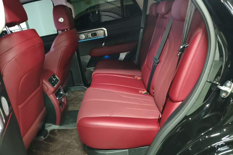 Used Tank 400 New Energy 2026 Model—Hi4-T Left Rear Seat