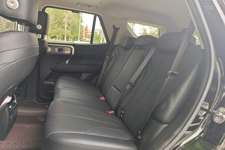 Used Tank 400 New Energy 2026 Model—Hi4-T Smart Enjoyment Version Left Rear Seat