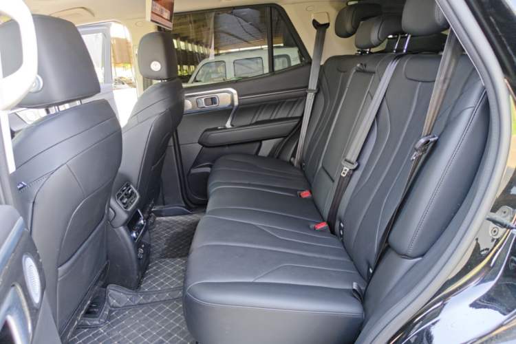 Used Tank 400 New Energy 2026 Model—Hi4-T Smart Enjoyment Version Left Rear Seat