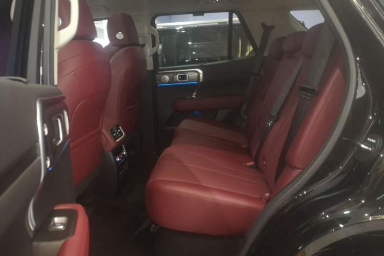 Used Tank 400 New Energy 2026 Model—Hi4-T Smart Enjoyment Version Left Rear Seat