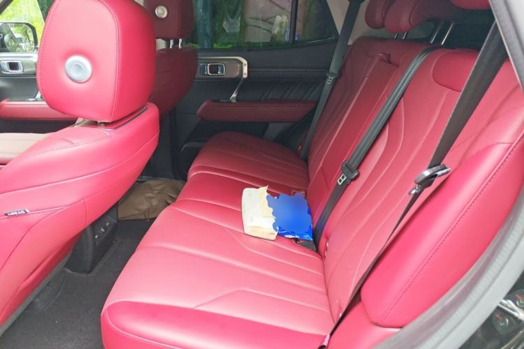 Used Tank 400 New Energy 2026 Model—Hi4-T Left Rear Seat