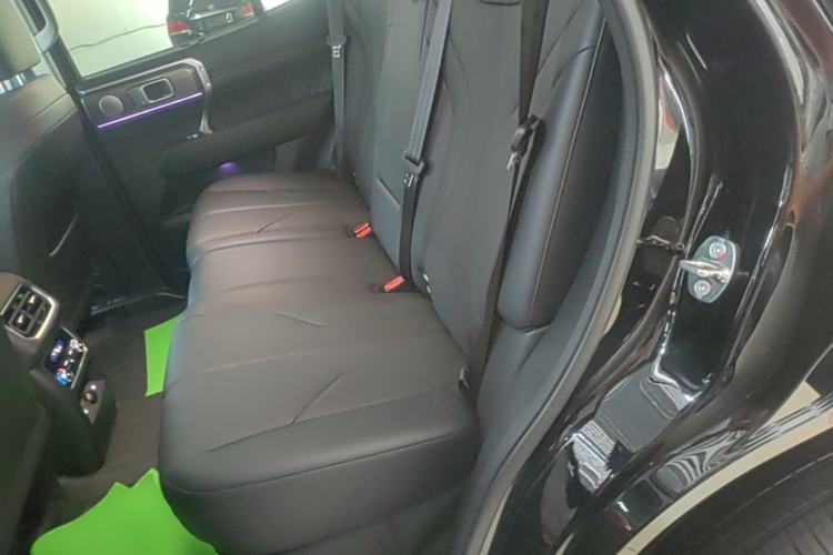 Used Tank 400 New Energy 2026 Model—Hi4-T Smart Enjoyment Version Left Rear Seat