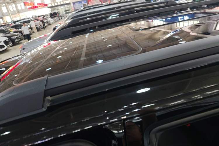 Used Tank 400 New Energy 2026 Model—Hi4-T Smart Enjoyment Version Roof